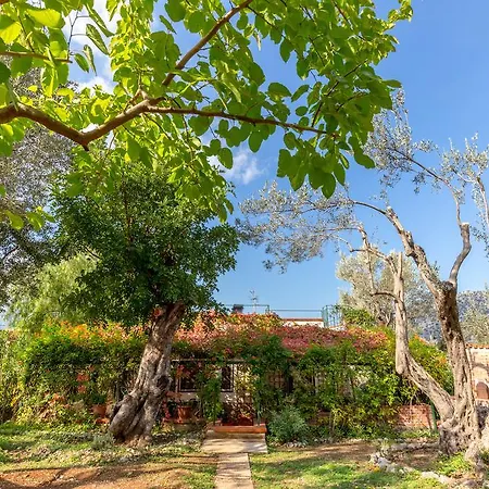 Violetta 펜션 카리니